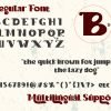 Brilliant Fighter - Image 10