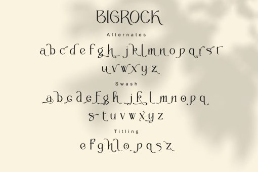 Bigrock - Image 9