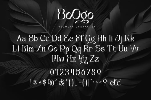 Boogo - Image 10