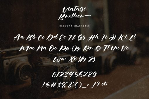 Vintage Brother - Image 10