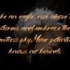 Eagle Horizon - Image 2