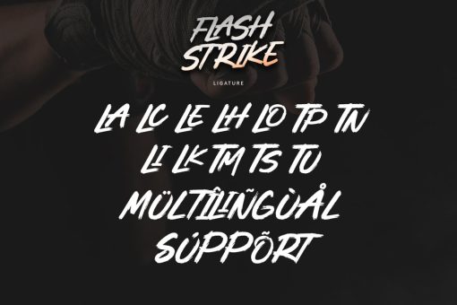 Flashstrike - Image 8