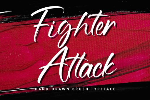 Fighter Attack