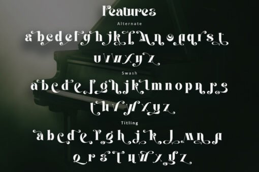 Carevo-Luxurious Display Serif Font - Image 12