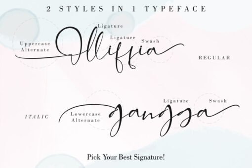 Alleffra – Modern Handwritten Monogram Font - Image 7