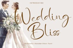 Wedding Bliss - Romantic Handwritten Font