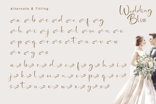 Wedding Bliss - Romantic Handwritten Font - Image 10