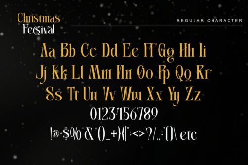 Christmas Fecsival – Elegant Serif Font for Holiday Designs - Image 11