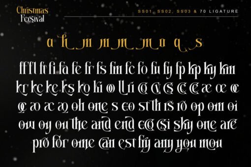 Christmas Fecsival – Elegant Serif Font for Holiday Designs - Image 13
